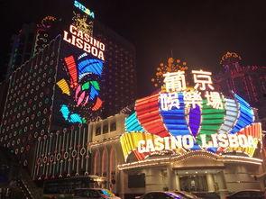 澳门夜游爆料视频播放,璀璨灯火下的精彩瞬间